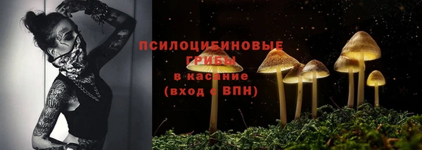 гидропоника Зеленодольск