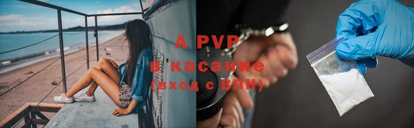 spice Барнаул